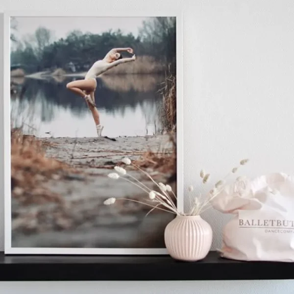 Dansebutikken Balletplakat med balletdanser ved smuk sø> Andet Til Ballet